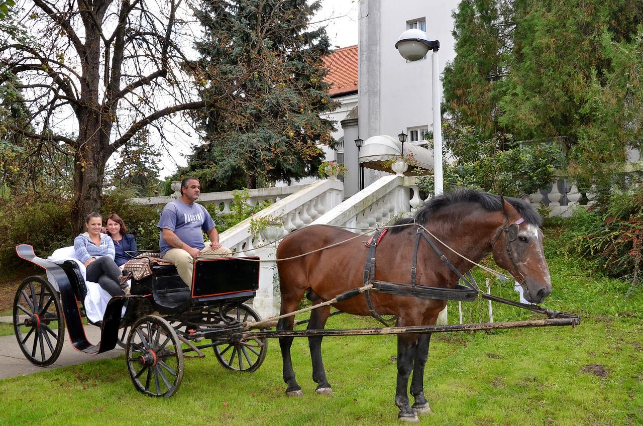 Dvorac Fantast Panzió Óbecse Kültér fotó